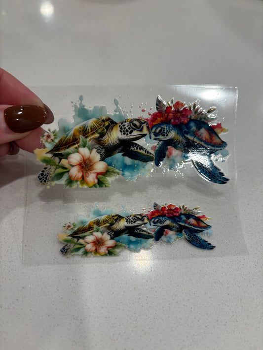 Sea turtles